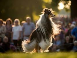 bem-comportado cachorro participando dentro uma mostrar, belas preparado ai generativo foto