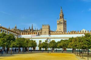 giralda torre e Sevilha catedral dentro Cidade antiga Espanha foto