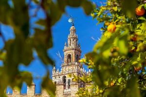 giralda torre e Sevilha catedral dentro Cidade antiga Espanha foto