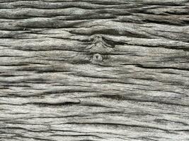 superfície erodido de tempo, velho madeira fundo. detalhe do velho madeira seco textura fundo foto