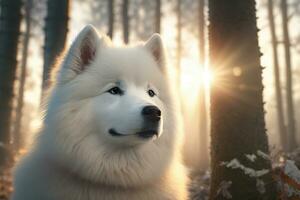 samoiedo cachorro retrato dentro inverno floresta às pôr do sol. lindo branco cachorro ai generativo. foto