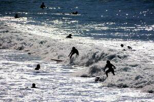 surfistas no oceano foto