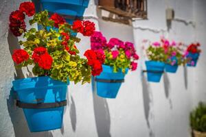 rua com flores dentro a mijas cidade, Espanha foto