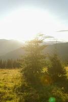 verão panorama dentro montanhas e a Sombrio azul céu com nuvens foto