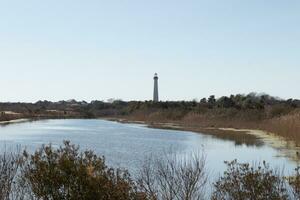 isto é a Veja do a capa pode ponto farol a partir de a observação de pássaros natureza preservar fechar por. Eu amor a Veja do a lagoa dentro isto panorama cenário e a Castanho Veja do todos a folhagem. foto