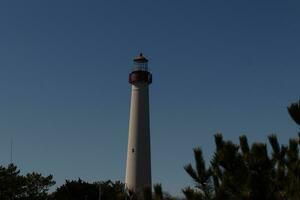 lindo imagem do a capa pode ponto farol. a Castanho folhagem todos por aí com a lindo azul céu dentro a fundo. foto