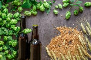 dois garrafas do Cerveja com trigo e lúpulo Como fermentação ingredientes dentro topo Visão e cópia de espaço área foto