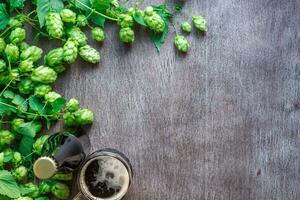 garrafa e vidro Cerveja com fermentação ingredientes. pulo flor com trigo. topo visualizar. foto