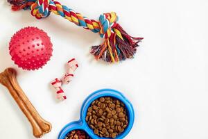 seco animal Comida dentro tigela e brinquedos para cachorros em branco fundo topo Visão foto