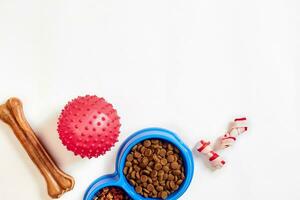 seco animal Comida dentro tigela e brinquedos para cachorros em branco fundo topo Visão foto