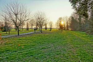 uma parque com árvores e Relva foto