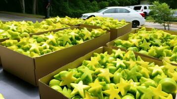 recentemente escolhido carambola a partir de jardim colocada dentro a caixas. generativo ai foto