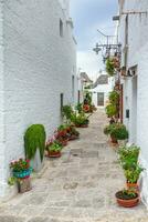 lindo Cidade do alberobello com trulli casas entre verde plantas e flores, Puglia região, sulista Itália. foto