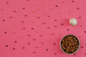 cachorro Comida dentro metálico tigela e acessórios em Rosa fundo foto