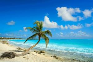 tranquilo tropical de praia com Palma árvores e azul mar. foto