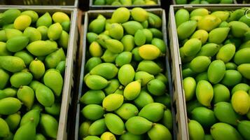 recentemente escolhido mamoncillo fruta a partir de jardim colocada dentro a caixas. generativo ai foto