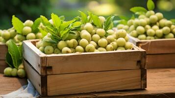 recentemente escolhido longan fruta a partir de jardim colocada dentro a caixas. generativo ai foto