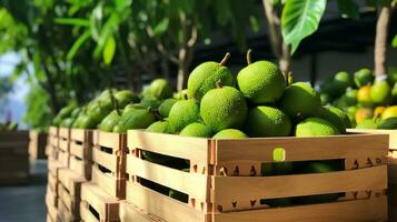 recentemente escolhido jambol fruta a partir de jardim colocada dentro a caixas. generativo ai foto