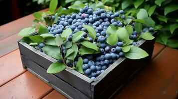 recentemente escolhido huckleberry fruta a partir de jardim colocada dentro a caixas. generativo ai foto