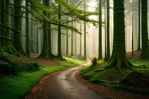 uma caminho através uma verde floresta com árvores gerado por IA foto