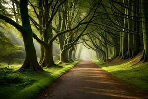 uma caminho através uma floresta com árvores e verde grama. gerado por IA foto