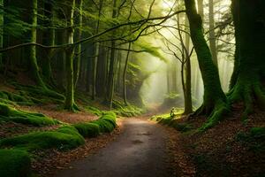 uma caminho através uma verde floresta com árvores e musgo. gerado por IA foto