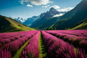 lavanda campo dentro a montanhas. gerado por IA foto