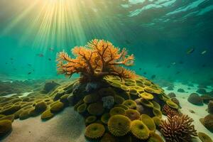 uma coral recife com raios solares brilhando através isto. gerado por IA foto