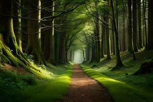 uma caminho através uma floresta com árvores e grama. gerado por IA foto