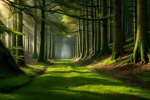 uma caminho através uma floresta com árvores e grama. gerado por IA foto