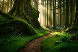 uma caminho através uma floresta com musgoso árvores gerado por IA foto