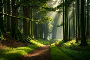 uma caminho através uma floresta com luz solar brilhando através a árvores gerado por IA foto