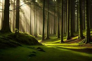 uma floresta com raios solares brilhando através a árvores gerado por IA foto