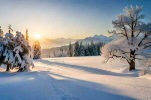 neve coberto árvores e a Sol configuração sobre uma Nevado panorama. gerado por IA foto