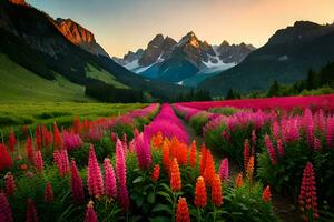 uma campo do colorida flores e montanhas às pôr do sol. gerado por IA foto