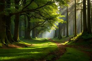 uma caminho através uma floresta com árvores e grama. gerado por IA foto