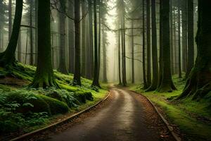 uma estrada dentro a meio do uma floresta com árvores gerado por IA foto