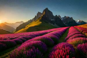 a Sol sobe sobre lavanda Campos dentro a montanhas. gerado por IA foto