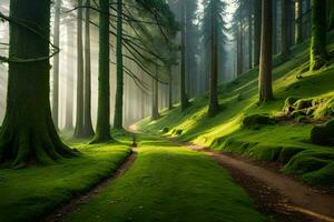 uma caminho através uma floresta com árvores e musgo. gerado por IA foto