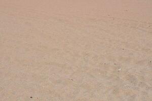 uma pequeno Rocha é sentado dentro a areia em uma de praia foto