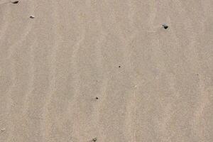 uma pequeno Rocha é sentado dentro a areia em uma de praia foto