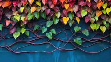 multicolorido hera folhas em azul parede fundo com cópia de espaço generativo ai foto