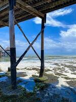 raso água debaixo a melia hotel cais, kiwengwa, zanzibar foto