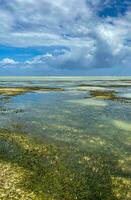 melia zanzibar de praia em baixo maré. panorama. azul céu foto