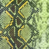 serpente pele couro texturizado réptil imprimir. pyton animal couro fundo. foto