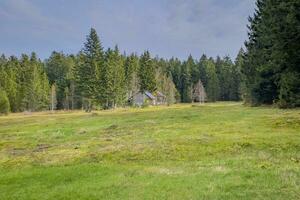 andar através a fohramoos europeu proteção área dentro vorarlberg, Áustria foto