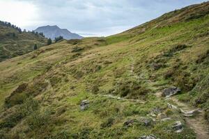 caminhada, widderstein, Hochtannberg, Alpes, Áustria foto