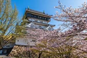 a Principal manter do kokura castelo com cereja Flor dentro kitakyushu, fukuoka, Japão foto