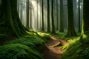 uma caminho através uma floresta com verde musgo. gerado por IA foto