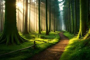 uma caminho através uma floresta com árvores e raios de sol. gerado por IA foto